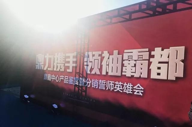 鼎力攜手，領袖霸都！合肥鼎鑫中心產品鑒賞暨分銷誓師英雄會圓滿落幕！