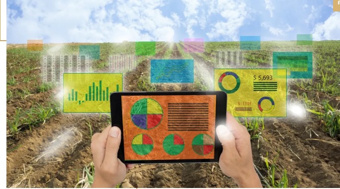 馬云說“致富未來在農(nóng)村”,那么農(nóng)村未來的致富人群是哪類人？