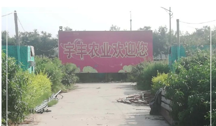 建一個市場、興一方產(chǎn)業(yè)、富一方百姓，孝義農(nóng)產(chǎn)品大市場產(chǎn)供銷一體化在行動！