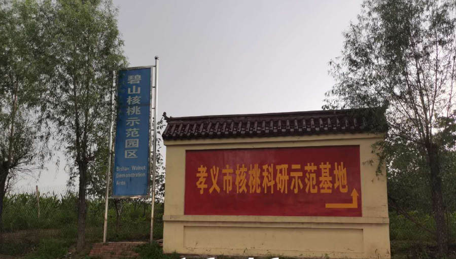 孝義農(nóng)產(chǎn)品大市場(chǎng)丨力爭(zhēng)讓孝義核桃插上翅膀，飛向全國(guó)！