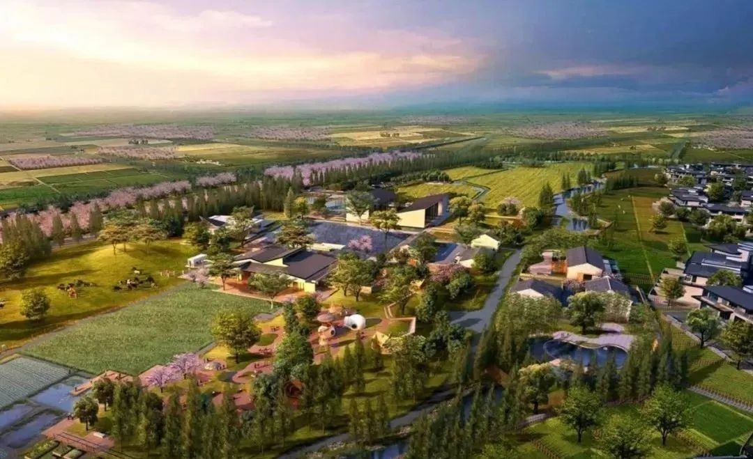 全文！鄉(xiāng)村建設(shè)行動(dòng)實(shí)施方案